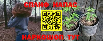 spice Канаш