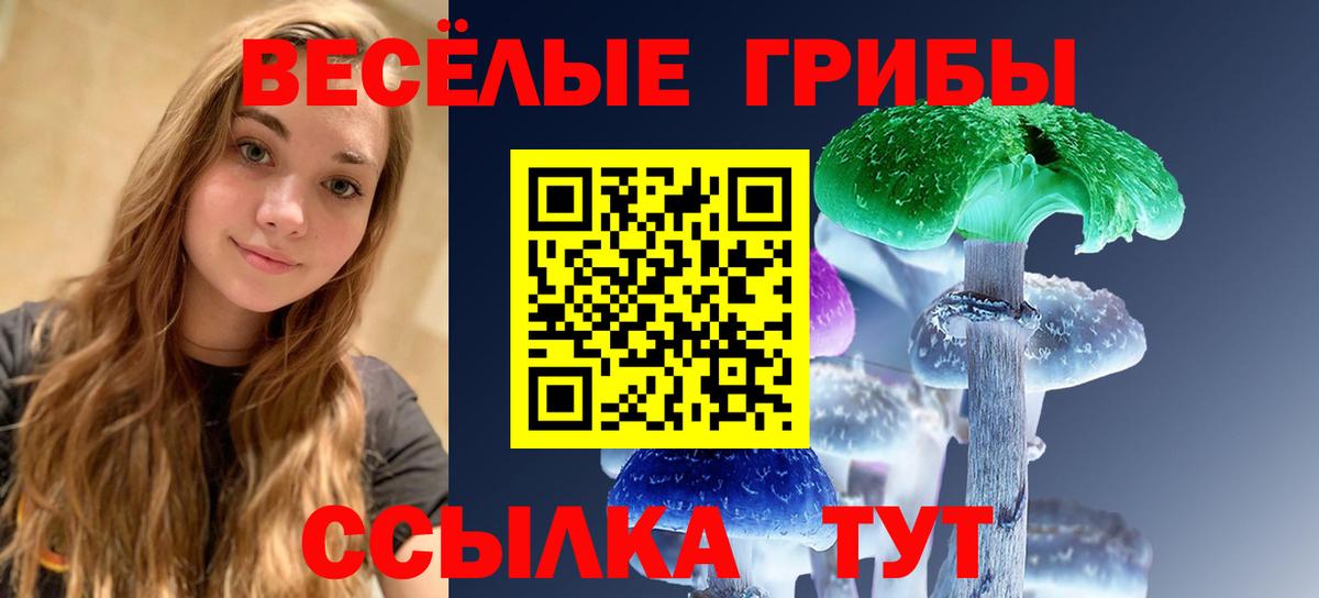 Псилоцибиновые грибы прущие грибы Железногорск