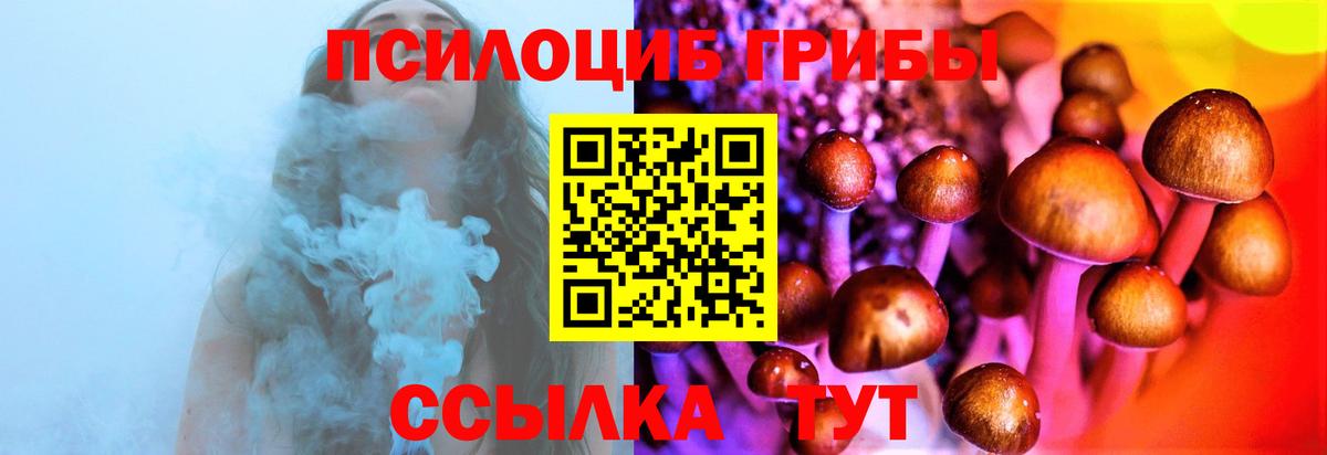 Галлюциногенные грибы мухоморы  Галлюциногенные грибы прущие грибы  Железногорск  Вход с VPN 